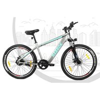Hbk-se-01 Steel Electric Bike - Gender: Male