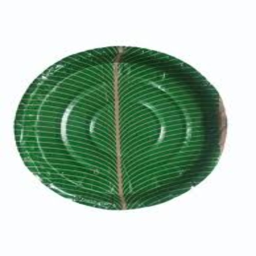 Green Paper Plate - Application: Ideal For Serving Meals At Events