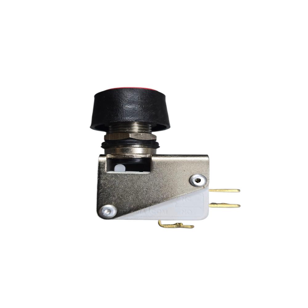 Thump Push Micro Switch