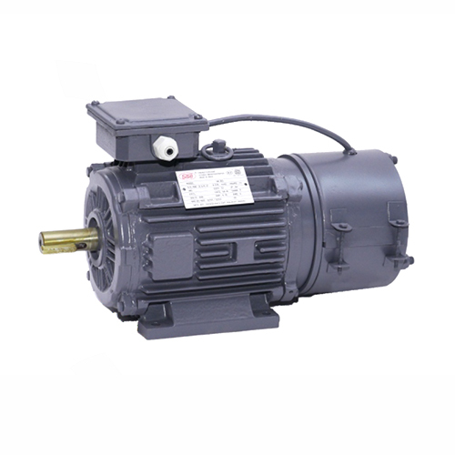 0.25HP से 50.0HP IE2 उच्च दक्षता कास्ट आयरन बॉडी फुट और फ्लैन्ज़ माउंटेड एसी ब्रेक मोटर