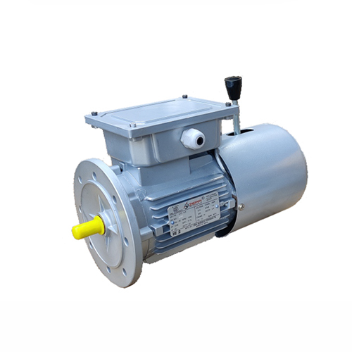 0.25HP से 2.0HP IE2 उच्च दक्षता एल्युमिनियम बॉडी फुट और फ्लंज माउंटेड डीसी ब्रेक मोटर
