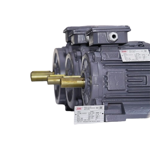 3 Phase Induction Motors - Features: Stable Performance
