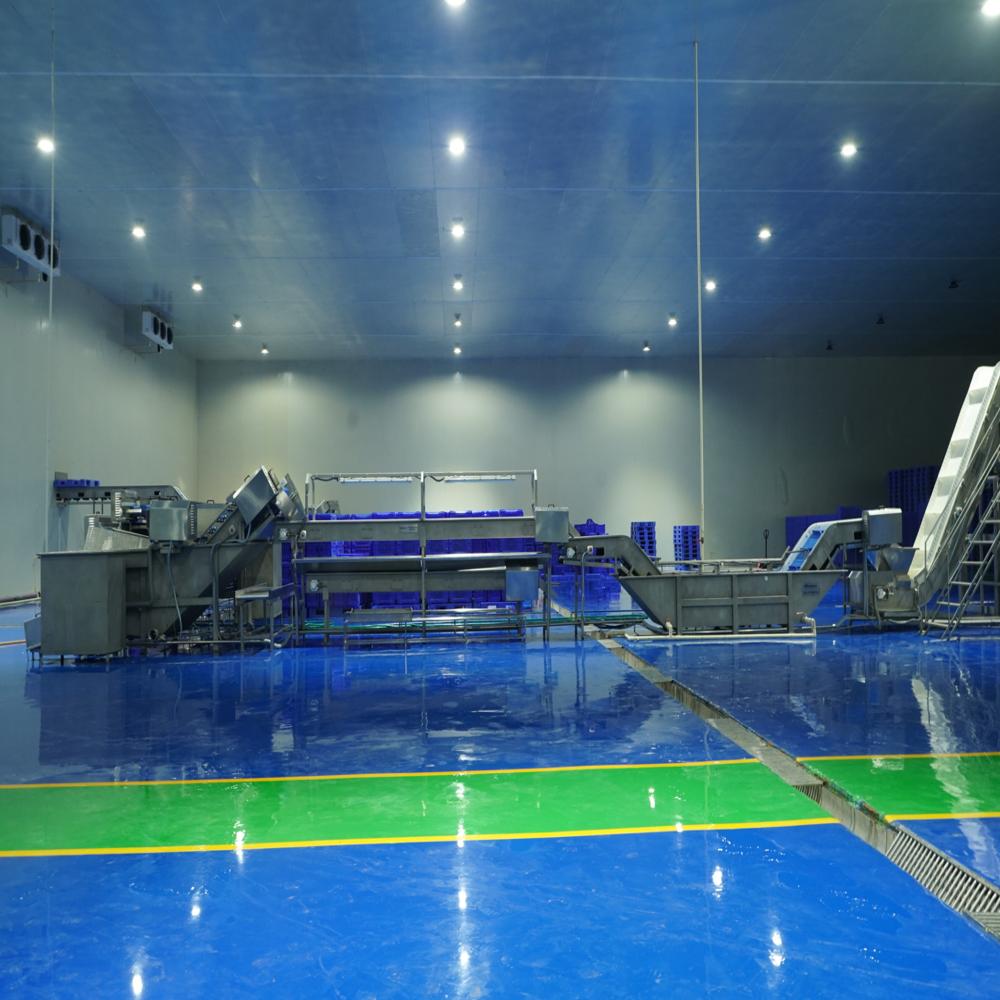 Pre-processing Line 