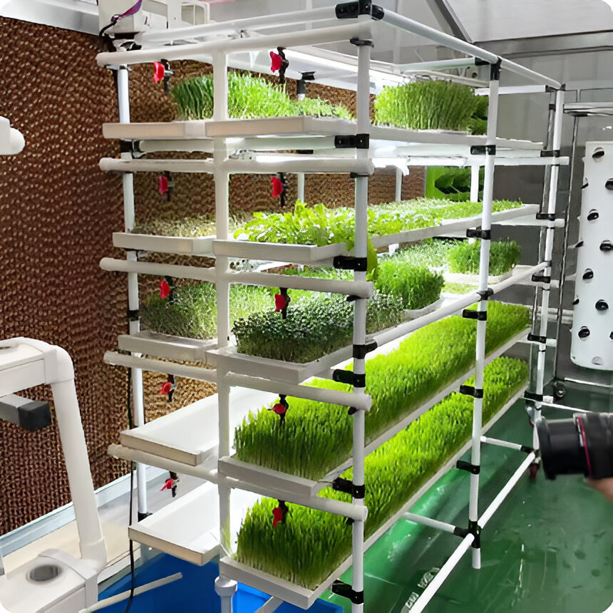 Microgreen Growing Chamber | Automated Indoor Microgreens Cultivation Unit