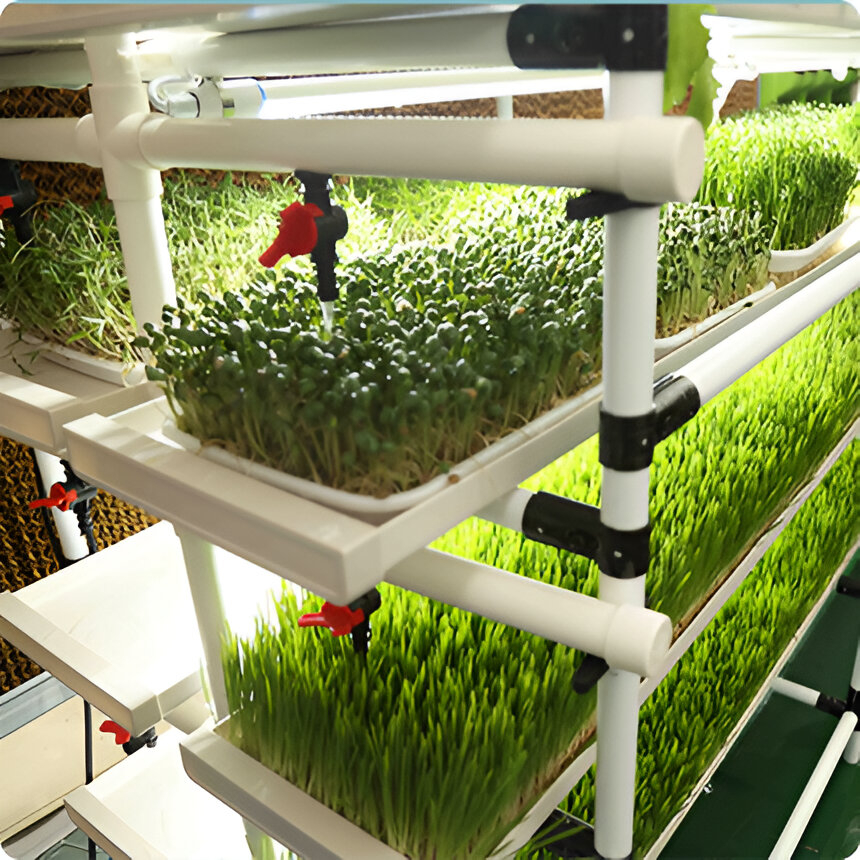 Microgreen Growing Chamber | Automated Indoor Microgreens Cultivation Unit