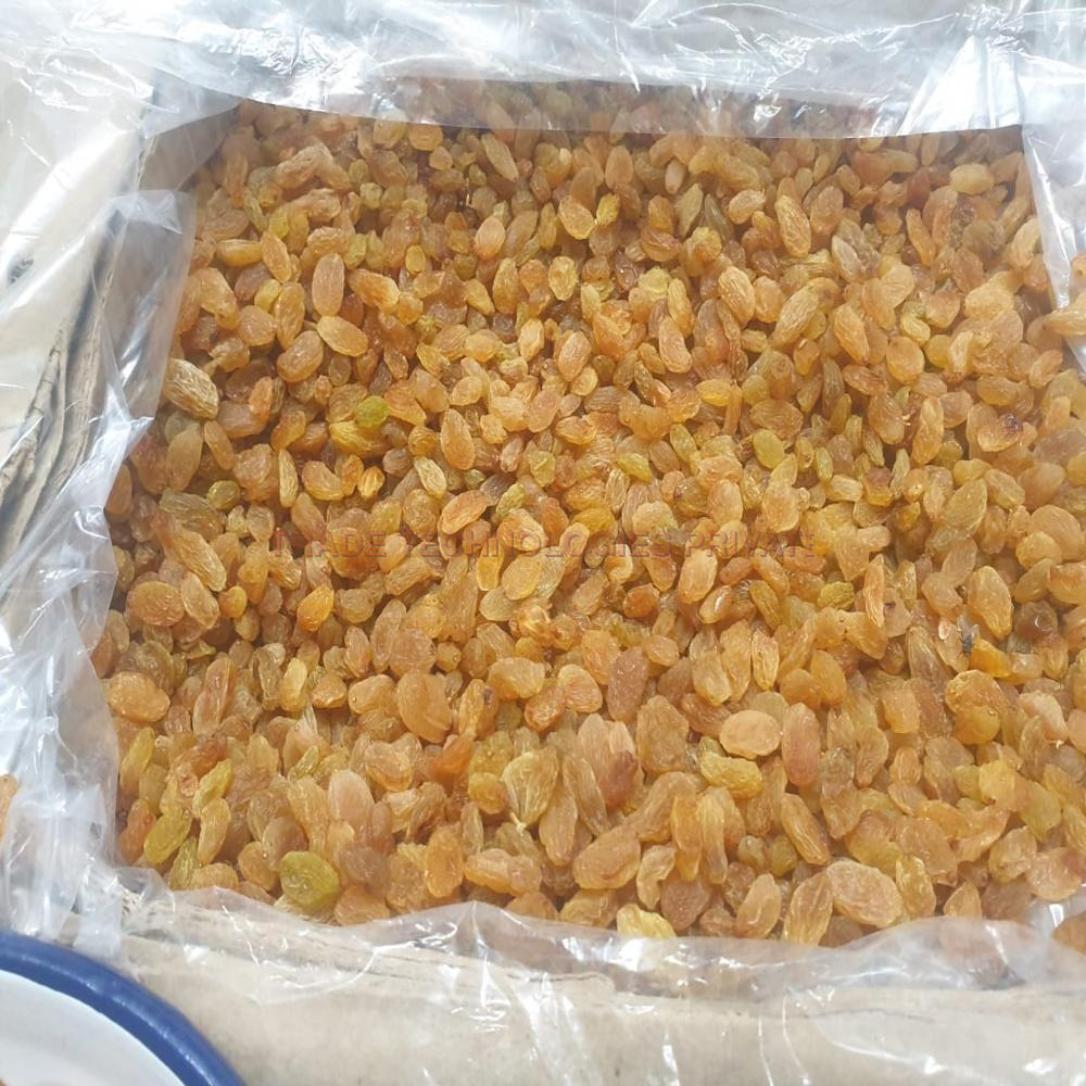 Solitaire Silver Round Raisins