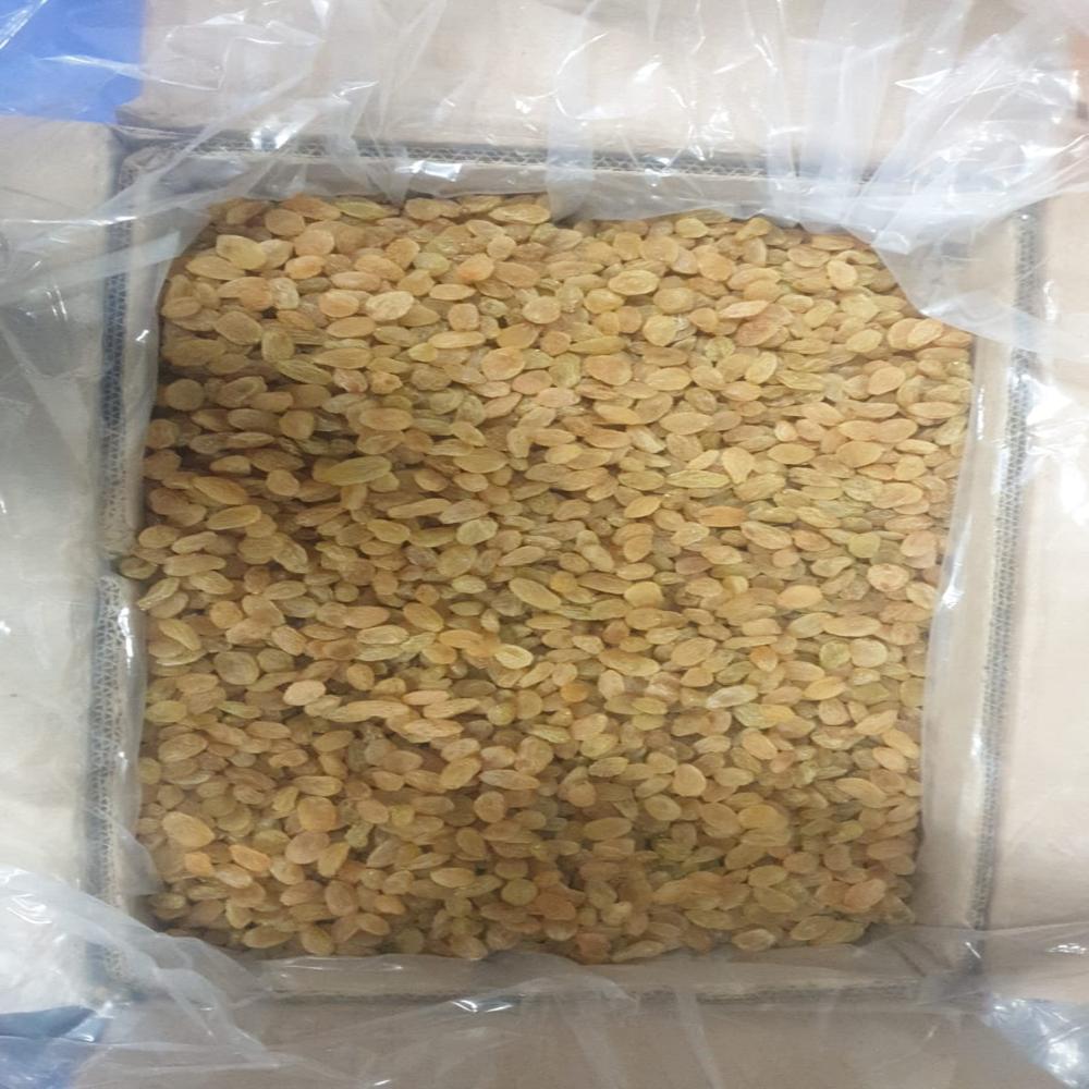 Solitaire platinum Round Raisins