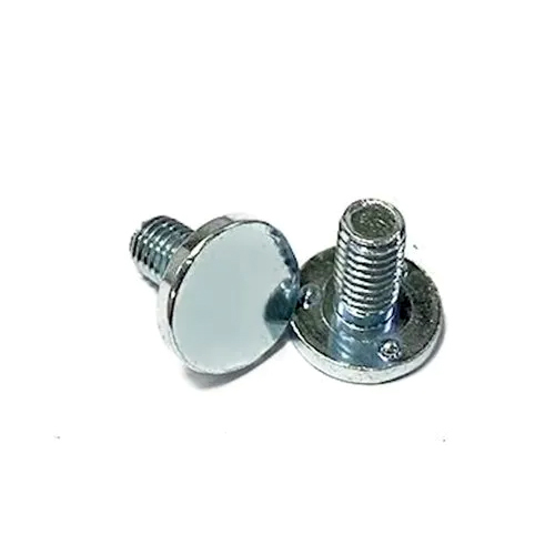 Round Head Bolt - Color: Silver