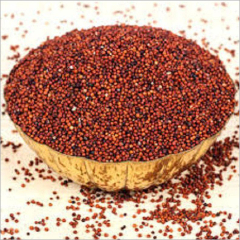 Finger Millet - Admixture (%): 1% Max