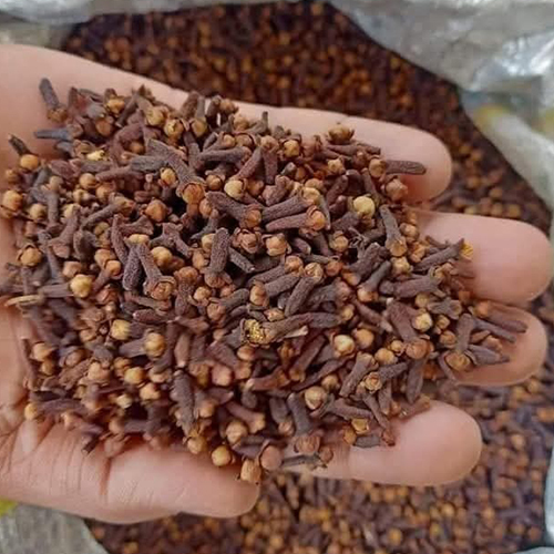 Indian Cloves - Color: Brown