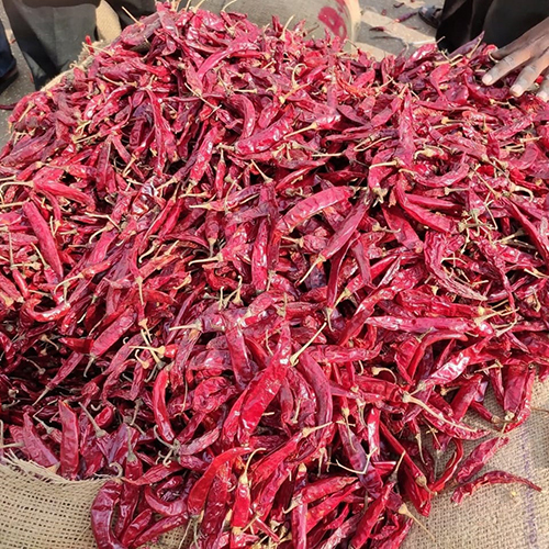 Dry Red Chilli