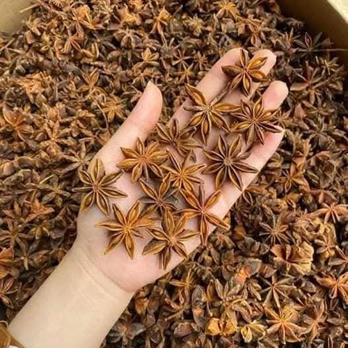 Star Anise