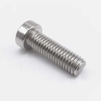 Stainless Steel Round Bolt - Color: Silver