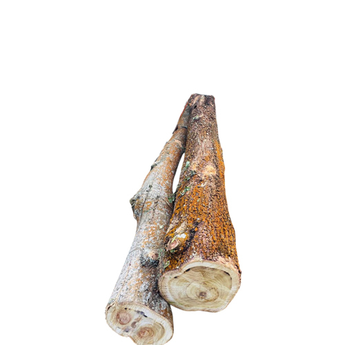 Bilwara Wood Log