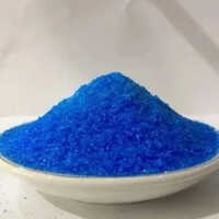 Copper Sulfate Powder - Cas No: 7758 98 7