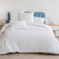 300 TC Pure Cotton King Bedsheet