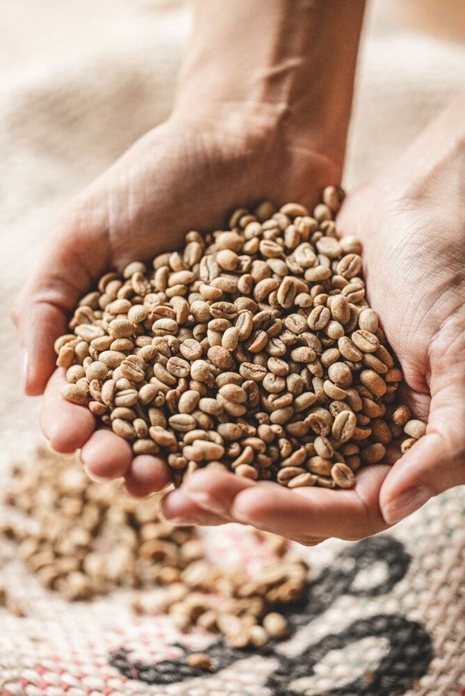 Arabica Cherry A Green Coffee Bean