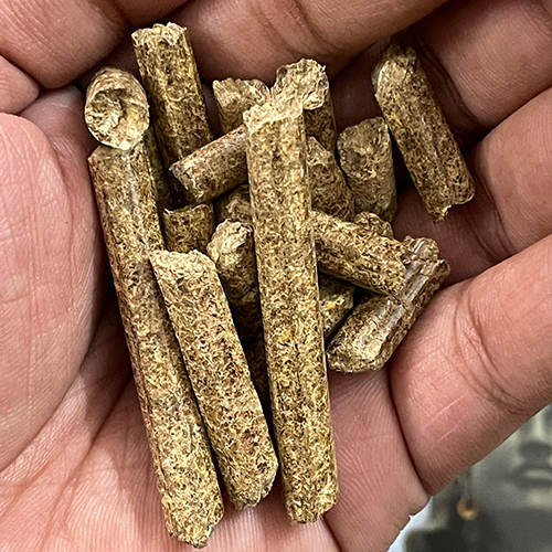 8mm Groundnut Shell Pellets - Ash Content (%): Less Than 10%
