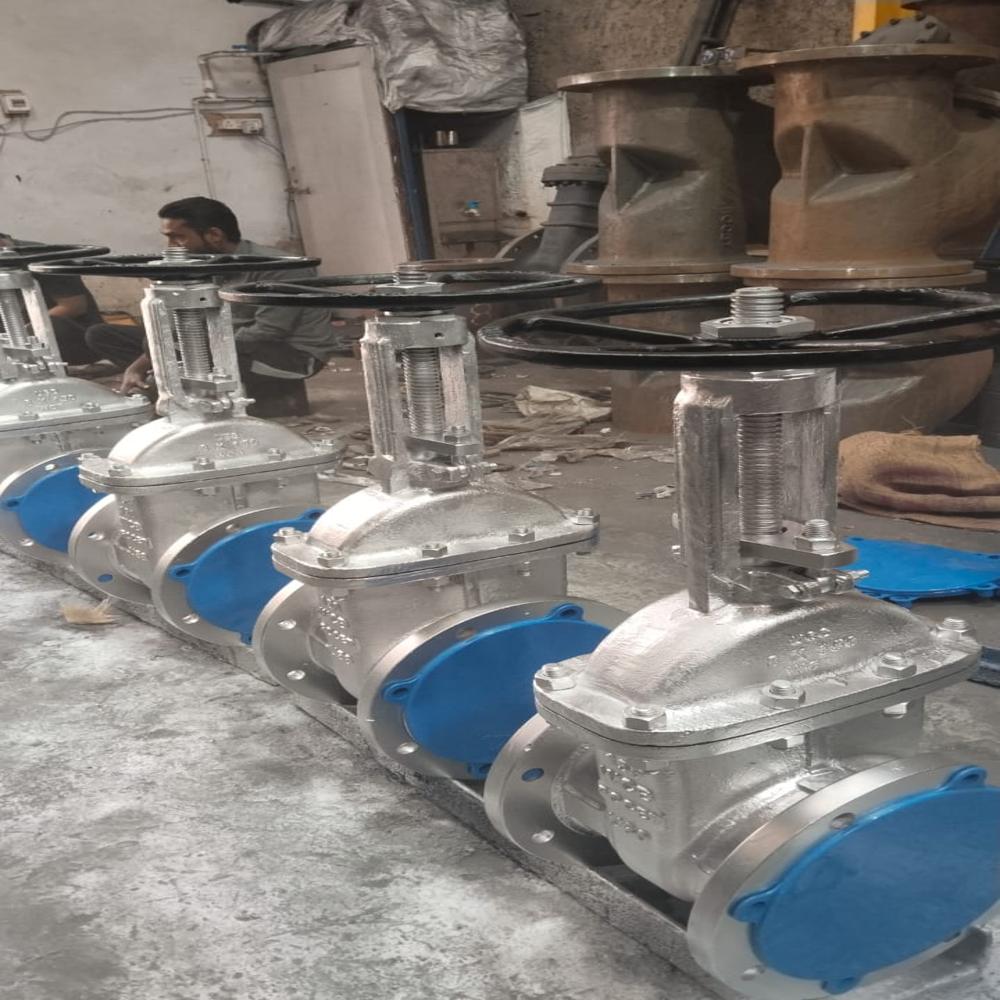 Industrial CS Gate Valves