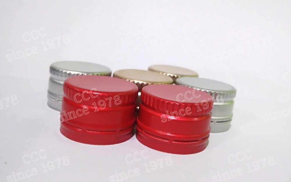 22mm Plain Gold/silver Ropp