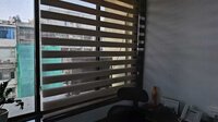 Window Blinds