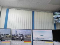 Vertical Blind