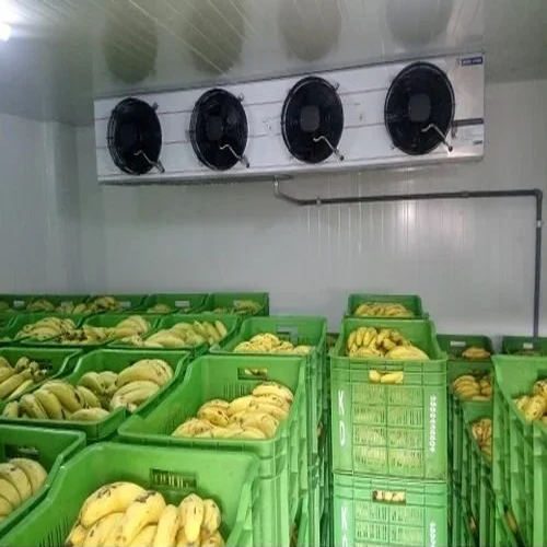 Banana Ripening Chamber - Color: White