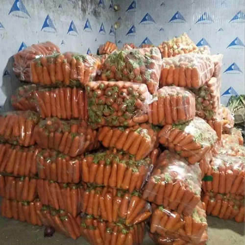 Vegetable Cold Storage - Body Material: Metal