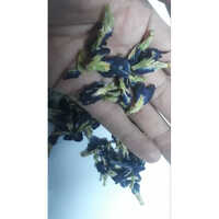 South Africa Rooibos - Age Group: For Adults