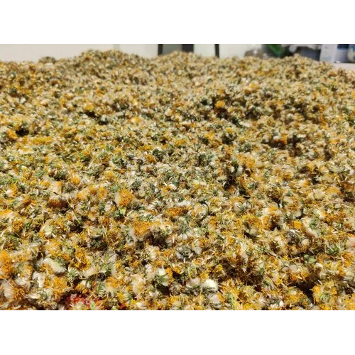 Dandelion Dried Flower Medicinal Herbs
