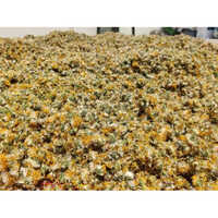 Dandelion Dried Flower Medicinal Herbs