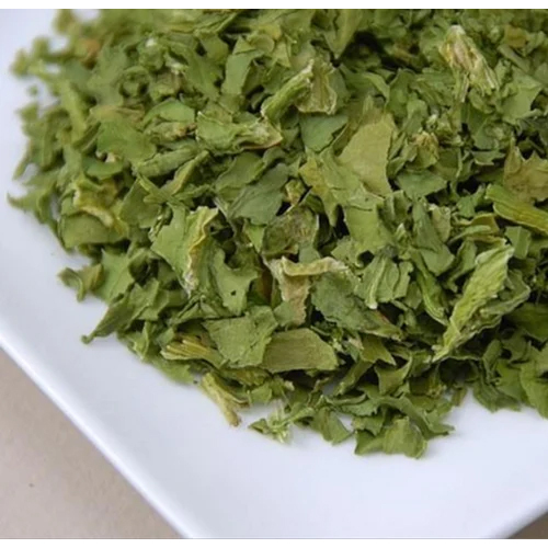 Green Organic Mint Leaves