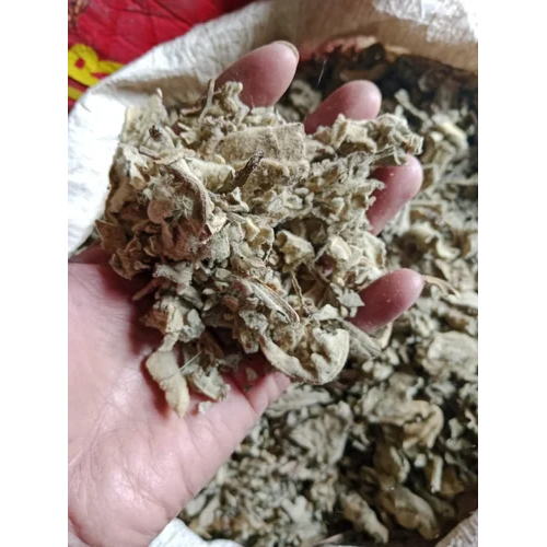 सूखी मुल्लिन पत्तियाँ