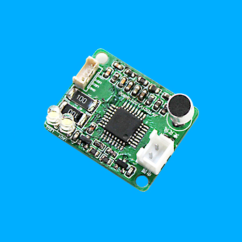 TD01 Voice Recognition Module