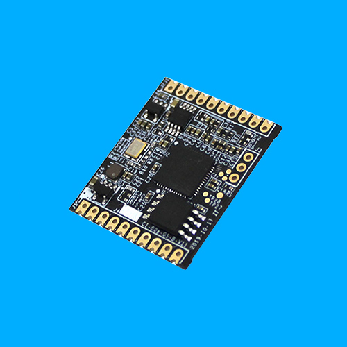 NRK220X Voice Recognition Module