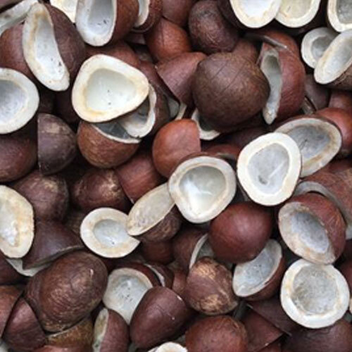 Dry Coconut - Color: Brown