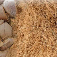 Cocopeat (Coir Pith)