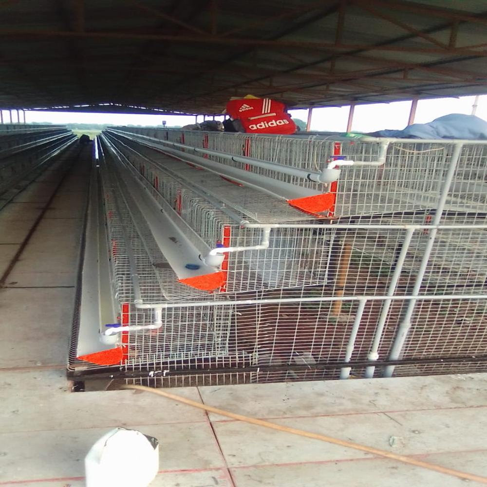 Poultry Layer Feeder - Material: Plastic