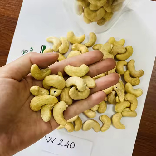W240 Premium Dried Cashew Nuts - Cultivation Type: Organic