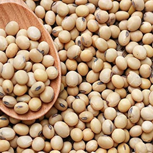 Raw Soya Beans