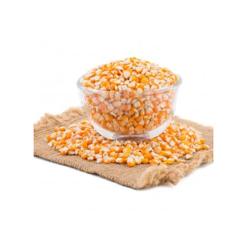 Yellow Corn