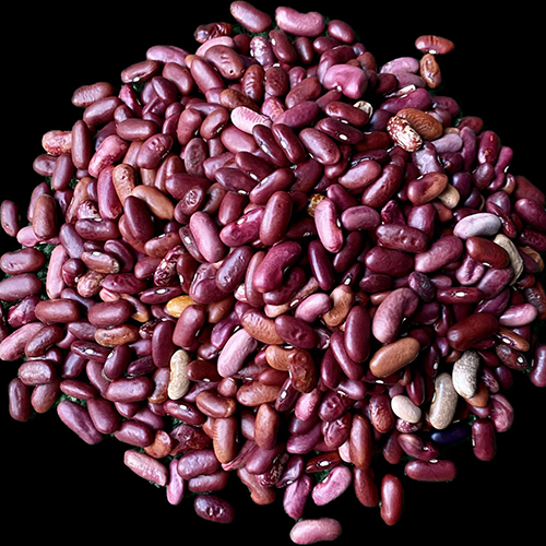 Fresh Red Rajma