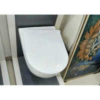 Floor Mounted Toilets