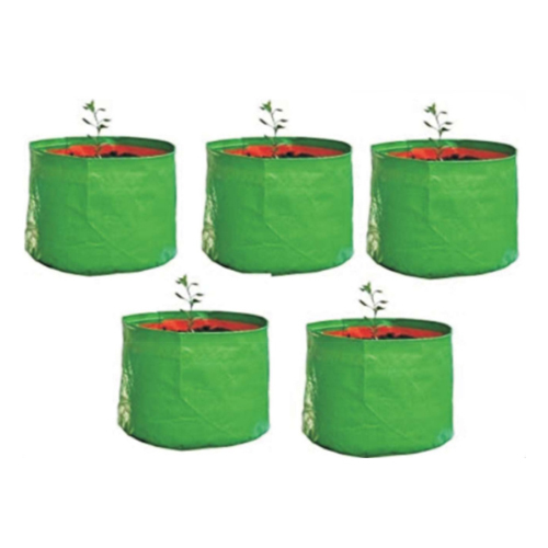 Grow Bag - Color: Green