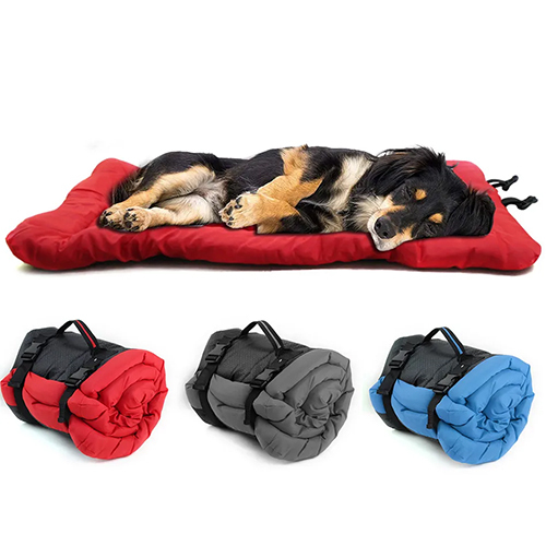 Dog Outdoor Mat - Color: As Per Availability