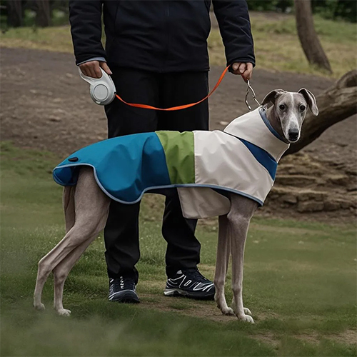 Dog Outdoor Apparel