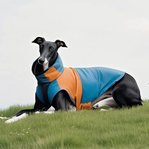 Stylish Dog Apparel