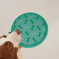 Dog Frisbee Disc Toy - Color: As Per Availability