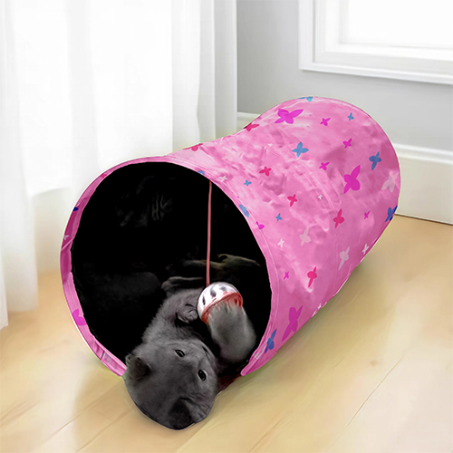 Modern Cat Tunnel