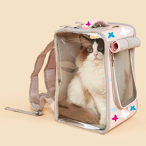 Cat Backpack